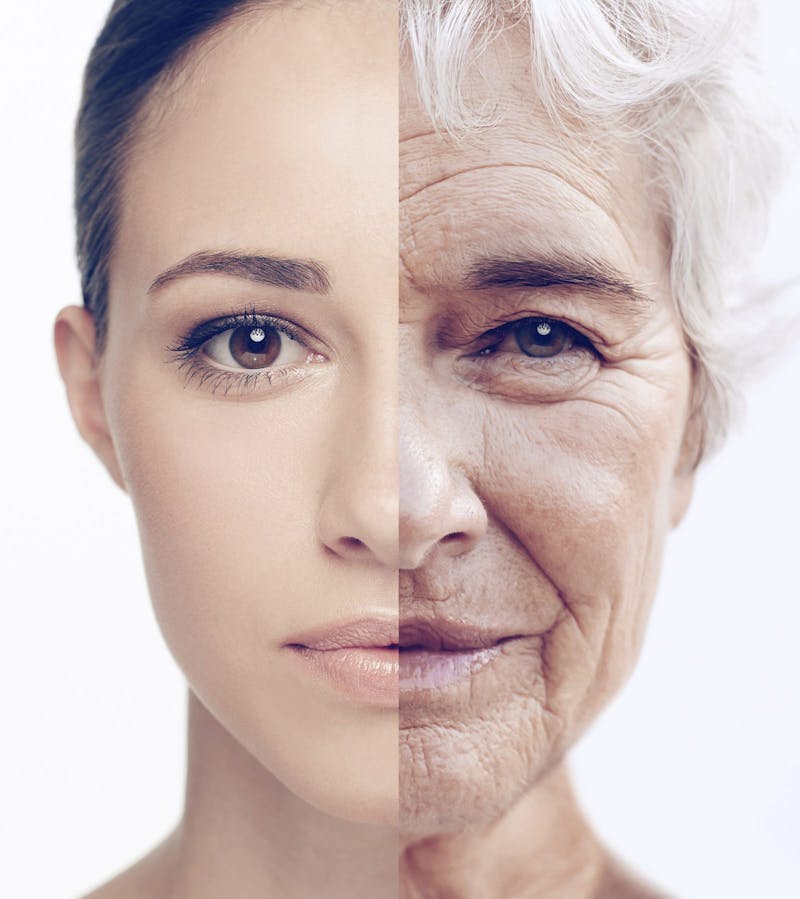 iStock_000052027046_Full-1600x1797