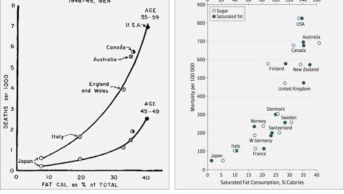 Den dolda sanningen bakom Ancel Keys berömda fettgraf