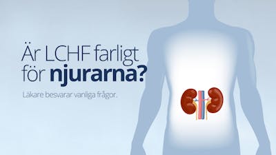 Är LCHF farligt för njurarna? Svar på vanliga frågor