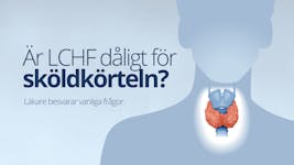 Är LCHF dåligt för sköldkörteln? Svar på vanliga frågor