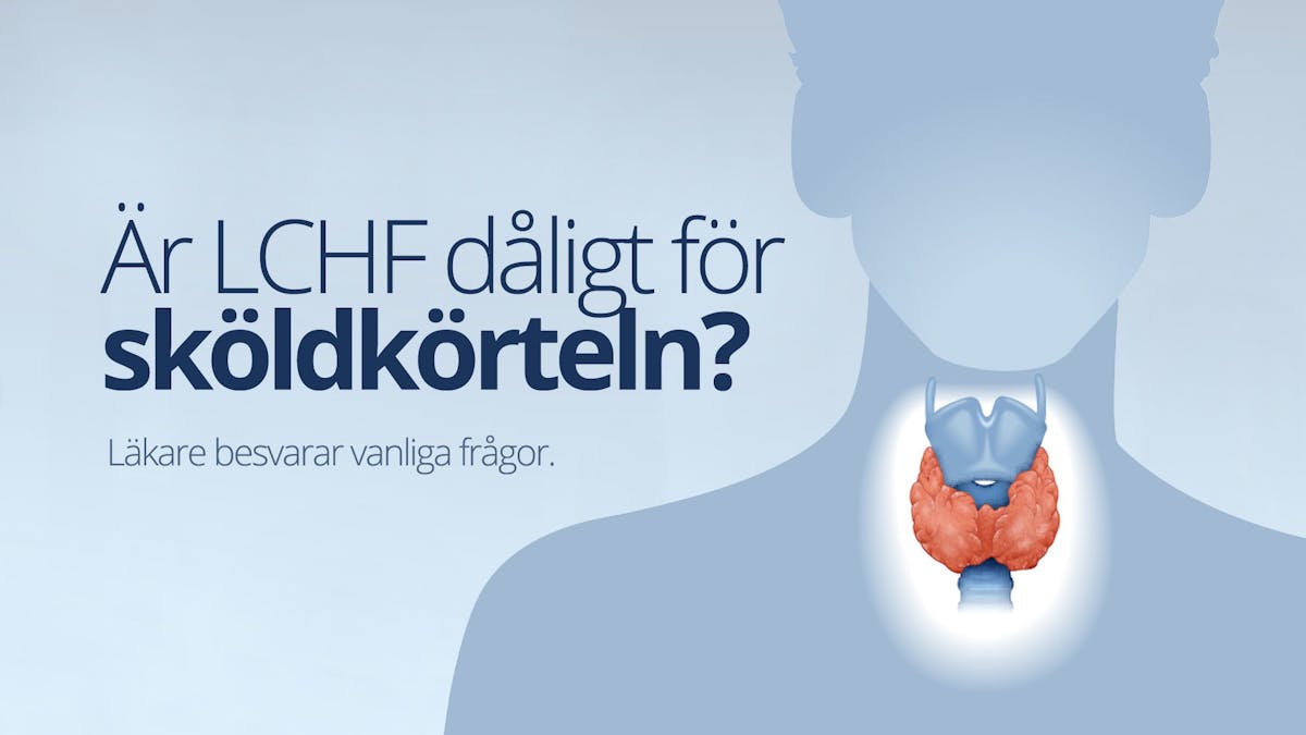 Är LCHF dåligt för sköldkörteln? Svar på vanliga frågor