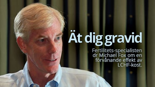 Intervju med Michael Fox (Vad bör du äter du för att bli gravid?)