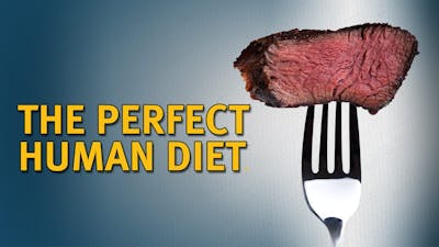 The Perfect Human Diet – filmen