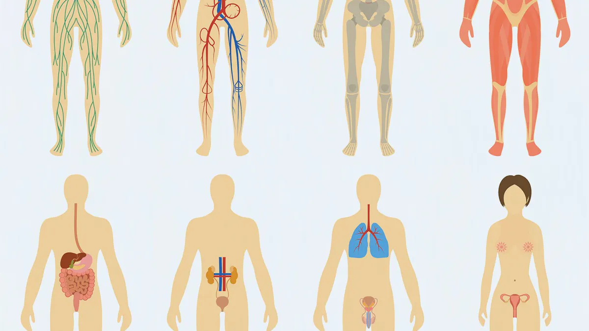 Komplikationer vid diabetes – en sjukdom som påverkar alla organ