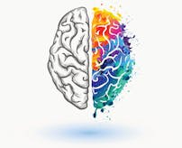 Hur påverkas hjärnan av fasta?