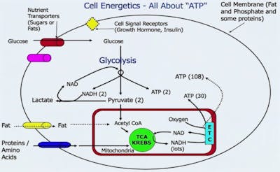 untitled-6-2-800x491