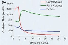 untitled-7-1-267x176