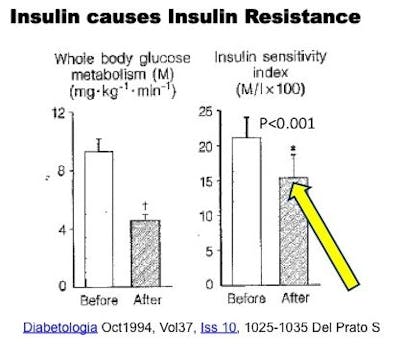Insul-Resist-Del-Prato