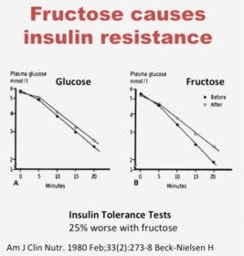 Fructose-insulin-resistance-267×280