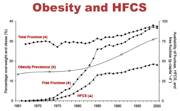 HFCS-obesity