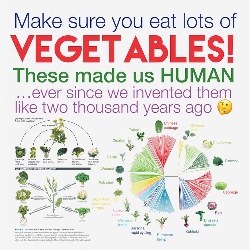 naimanvegetables