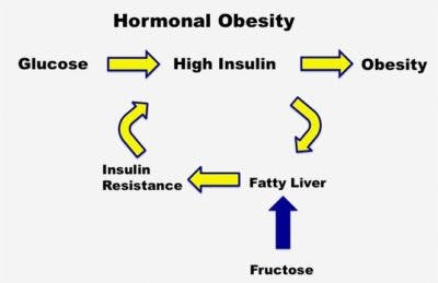 HOT-Fatty-Liver2.1-copy-400×259