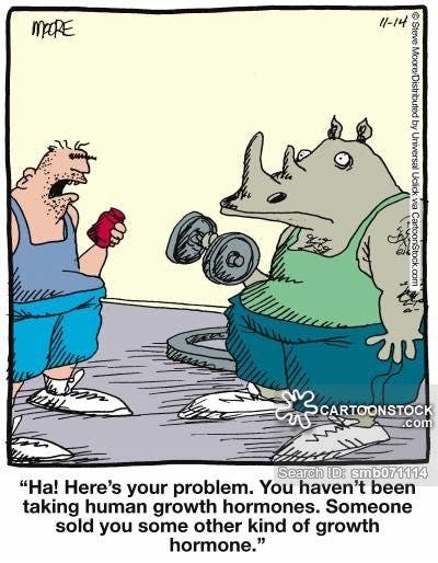 sport-rhino-rhinos-gymnastics-working_out-works_out-smb071114_low