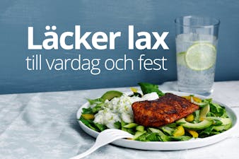 Läcker lax till vardag och fest