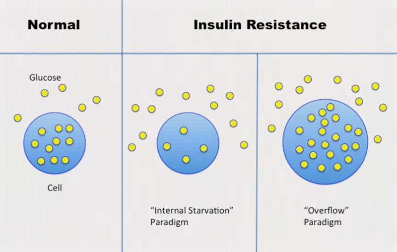normalvsinsulinresistance