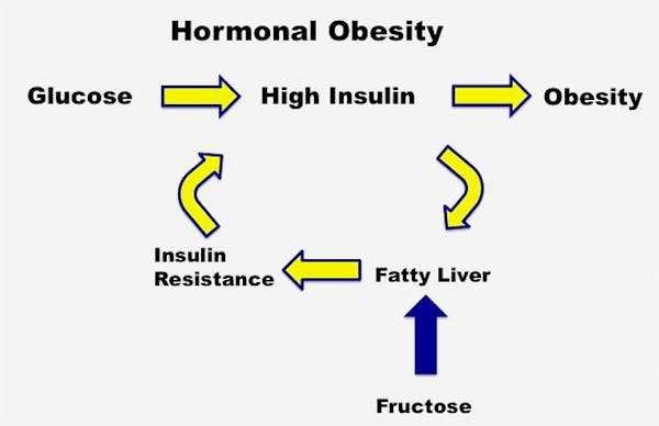 HOT-Fatty-Liver2.1-copy