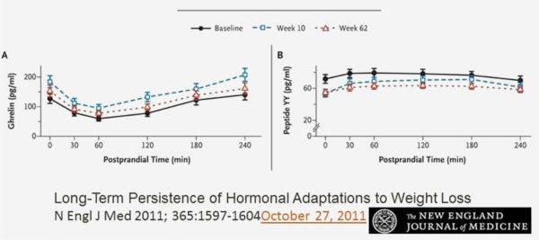 HORMONAL-ADAPTATIONS-2-600×267
