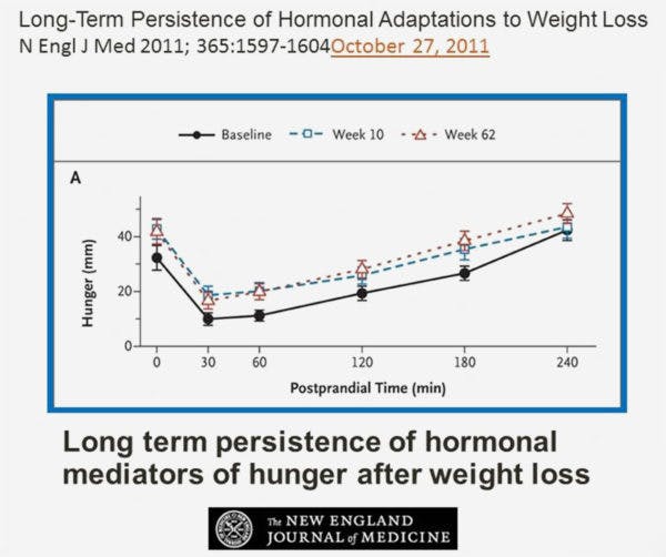 hormonal-adaptations-3-600×502
