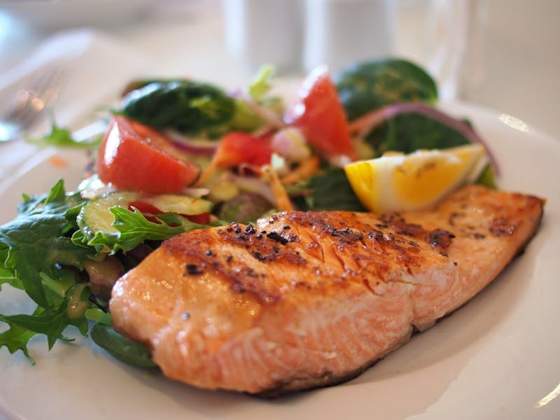 salmon-518032_1920-1600×1200
