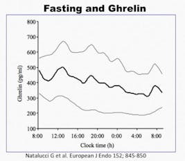 Ghrelin4-kopia-534×464
