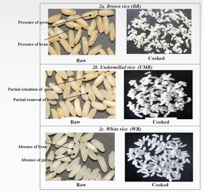 rice-1-800×761