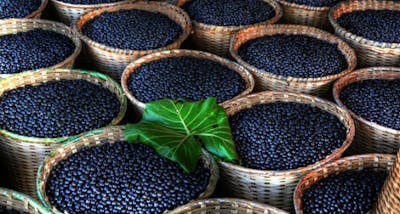 1OdEnGGt9yxoil-5nwLRH5A