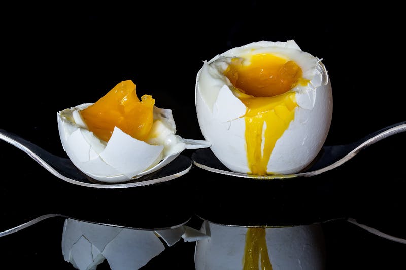 egg-2161877_1920
