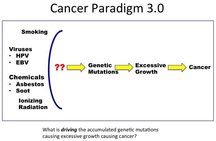 CancerParadigm3.0-1
