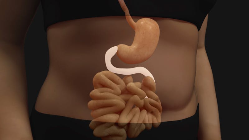 5. Sju steg till ketos