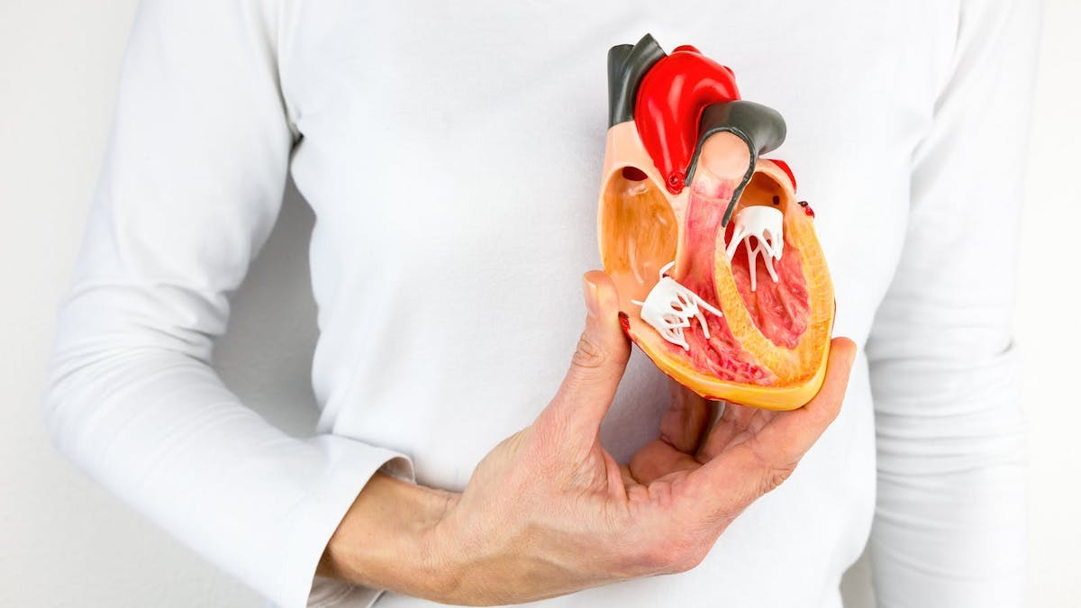 Ny studie: Keto förbättrar kardiovaskulära hälsomarkörer