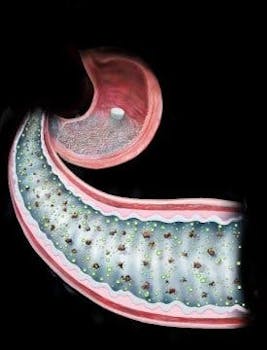 180611133755_1_540x360