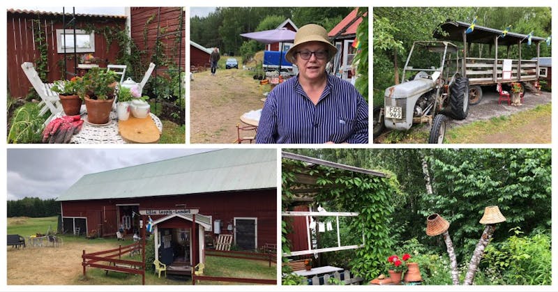 Carina-Mattson-Djupdalen-1024×536