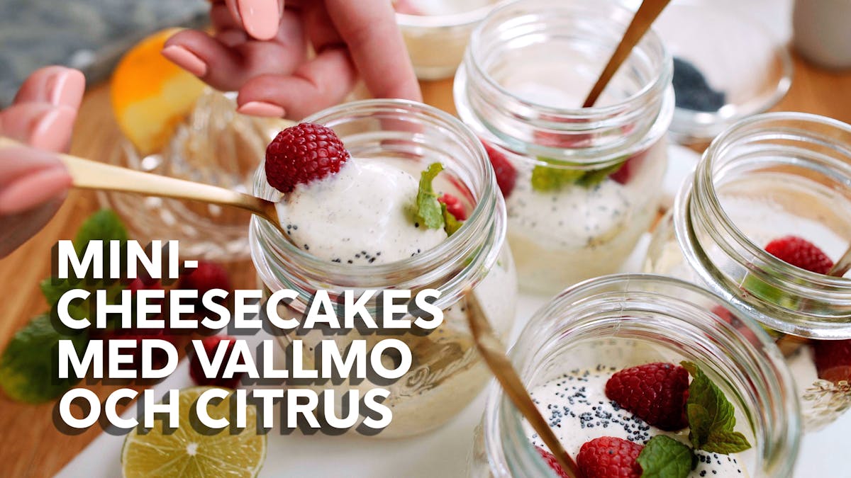 Matlagningsvideo: Mini-cheesecakes med vallmo och citrus