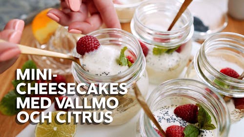 Matlagningsvideo: Mini-cheesecakes med vallmo och citrus