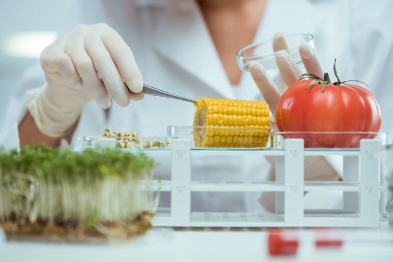 industry influence in food science