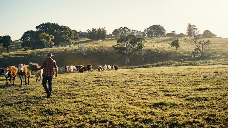 The-green-keto-meter-part-2-1