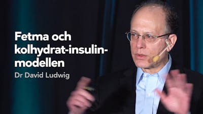 Fetma och kolhydrat-insulin-modellen