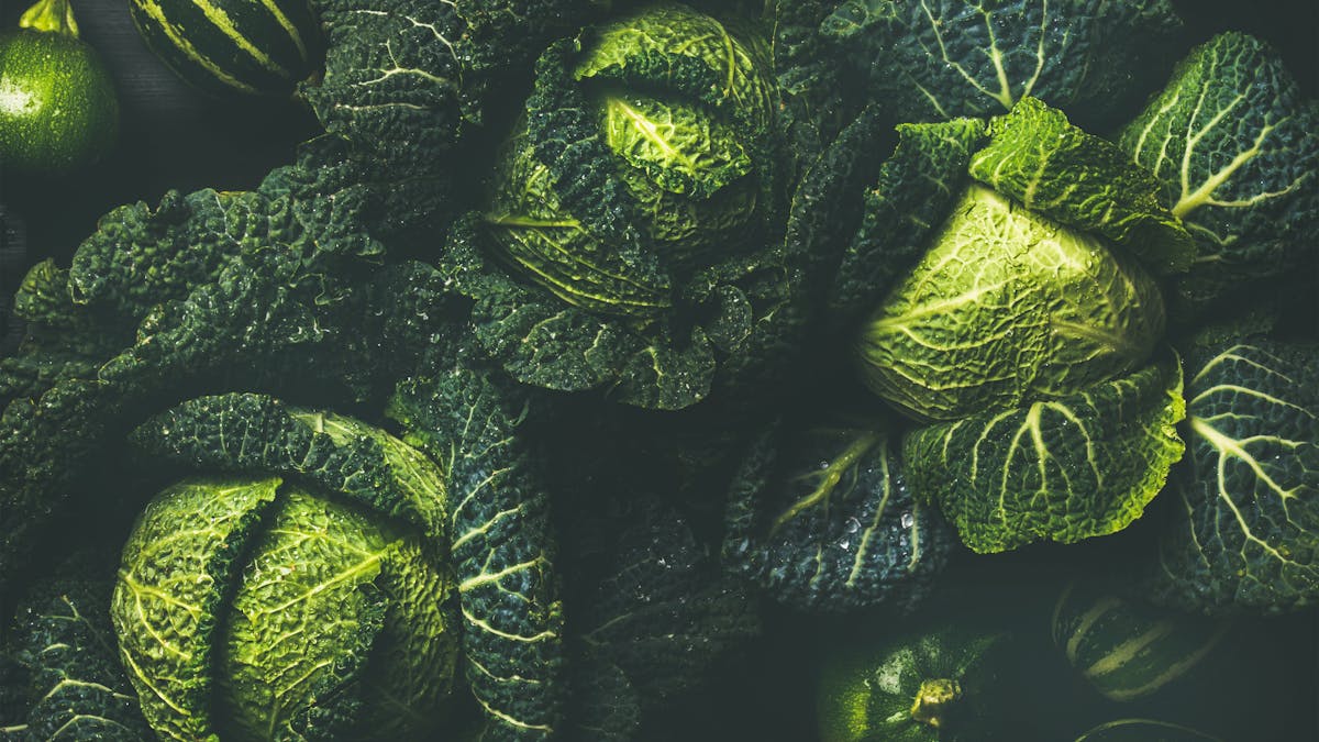 Guide: Kolhydrater och LCHF