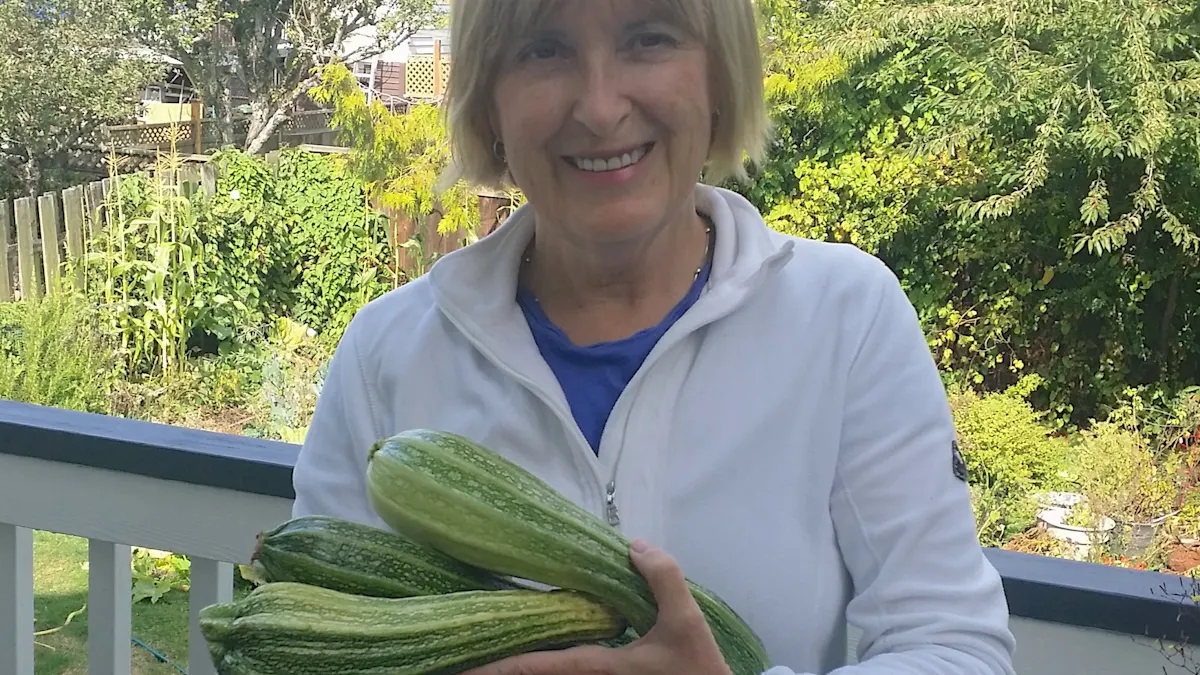 Zucchinifrossa – och tips på hur den kan användas