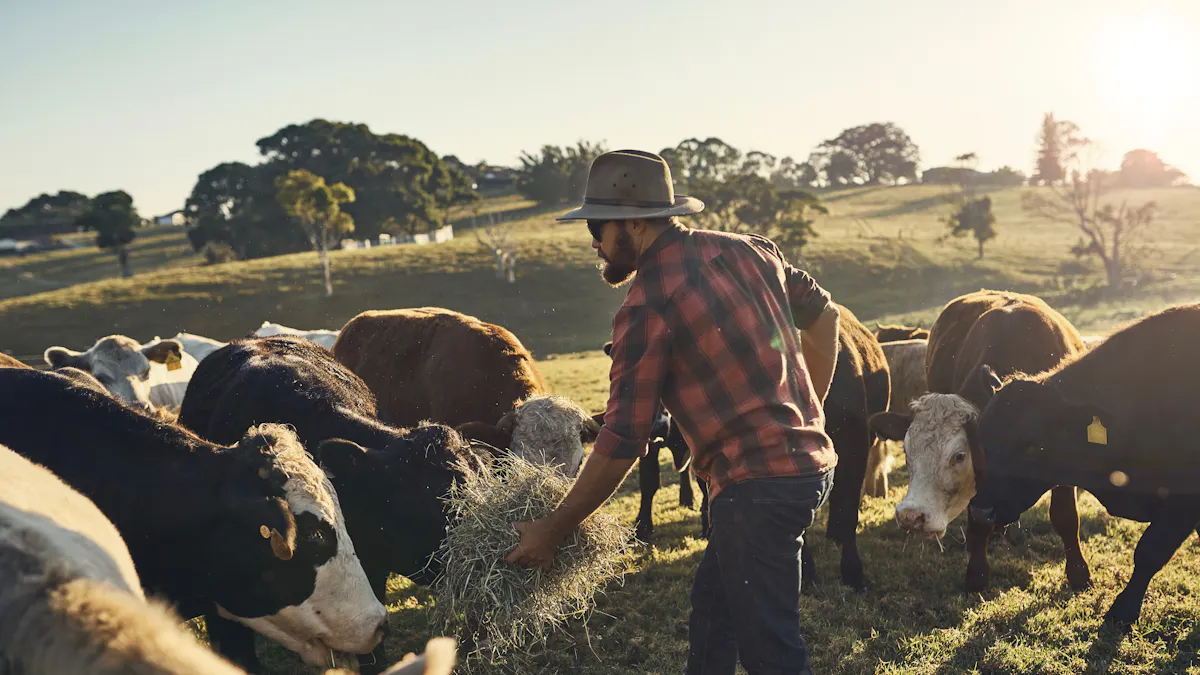 Den klimatsmarta köttätaren, del 2