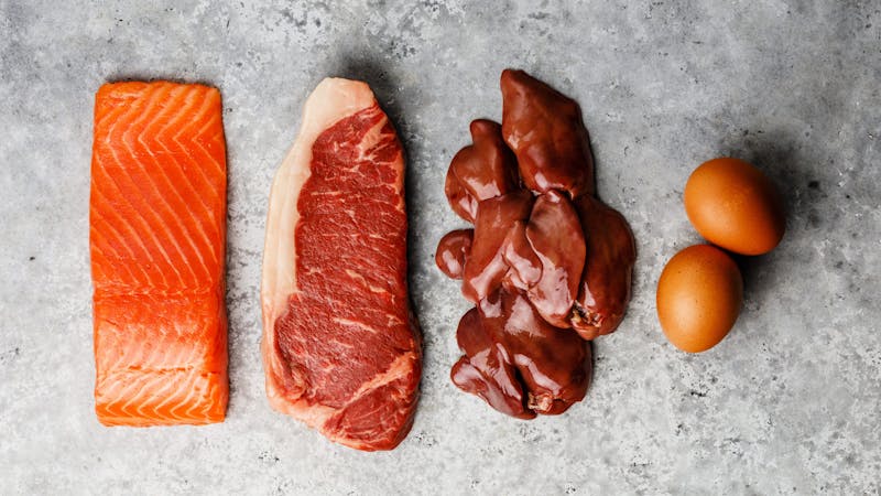 Carnivore-guide-e1577952403974