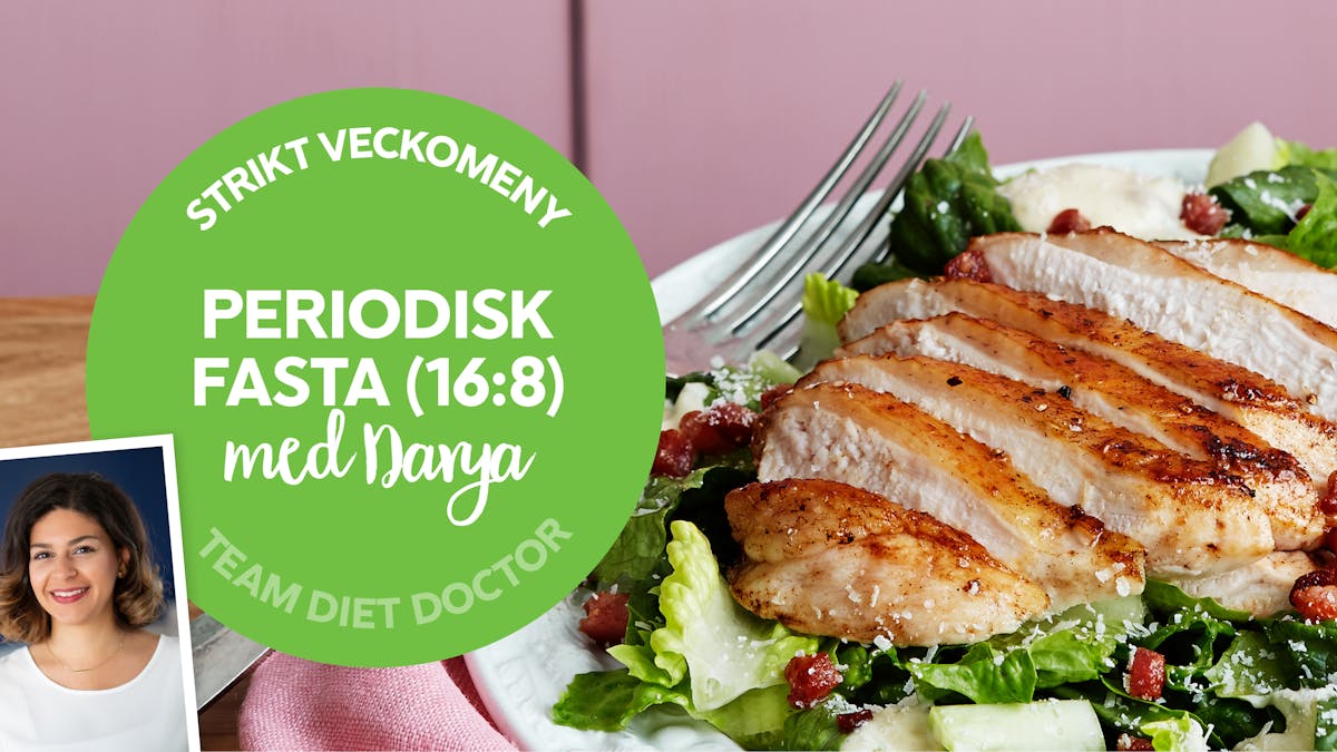 lchf-veckomeny-darya