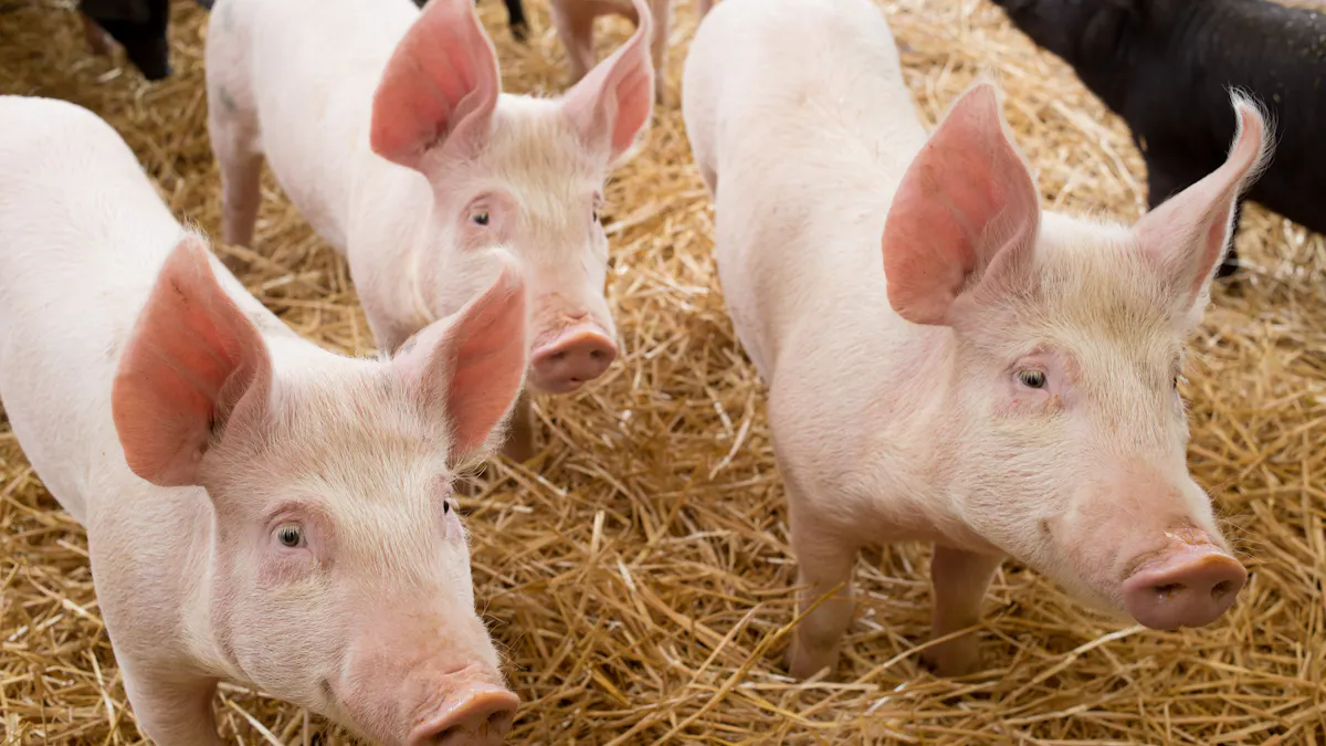 Saken är biff, del 4: allt kött är hö