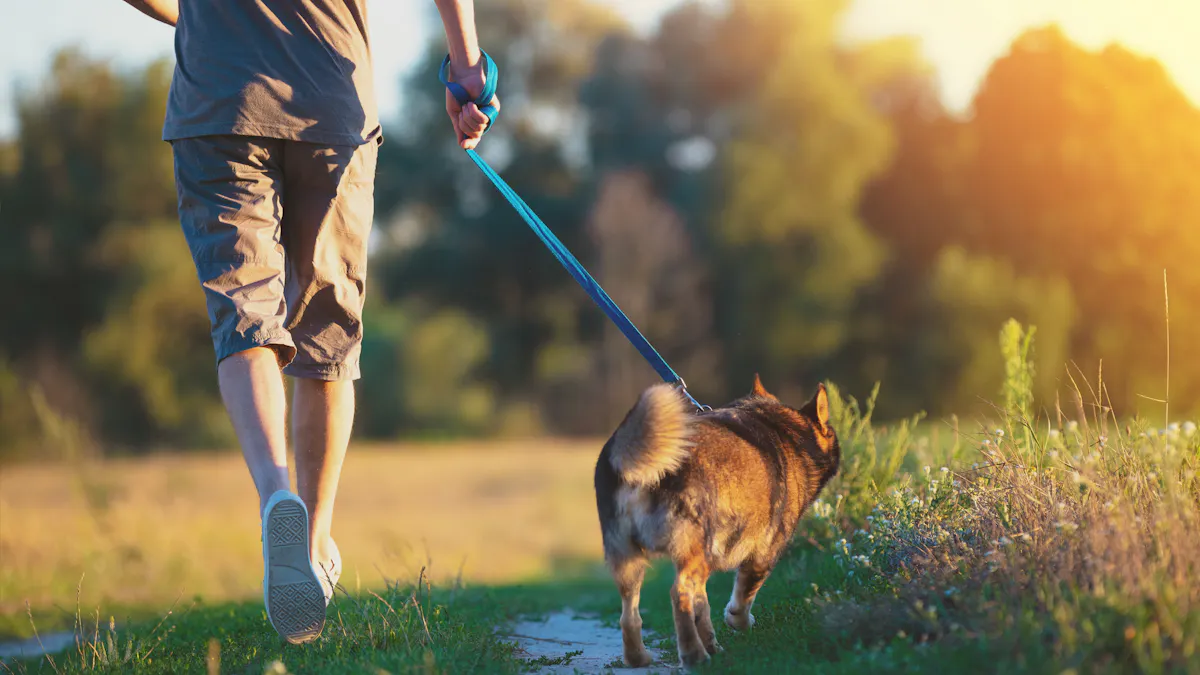 Dagens Nyheter om immunförsvaret i coronatider