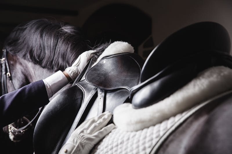 Jockey saddle up horse for the equesterian ride
