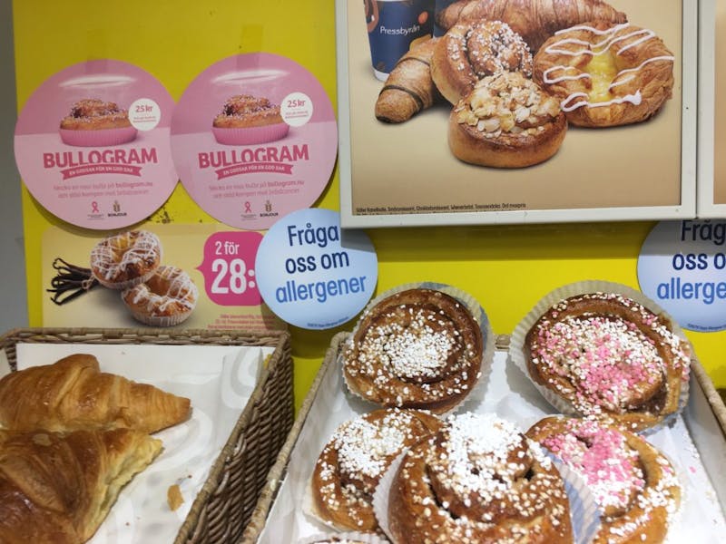 2017-bullogram-1024×768