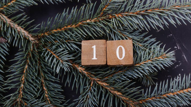 Wooden cubes with number. Blue spruce.