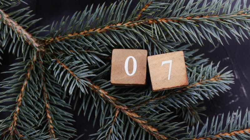 Wooden cubes with number. Blue spruce.