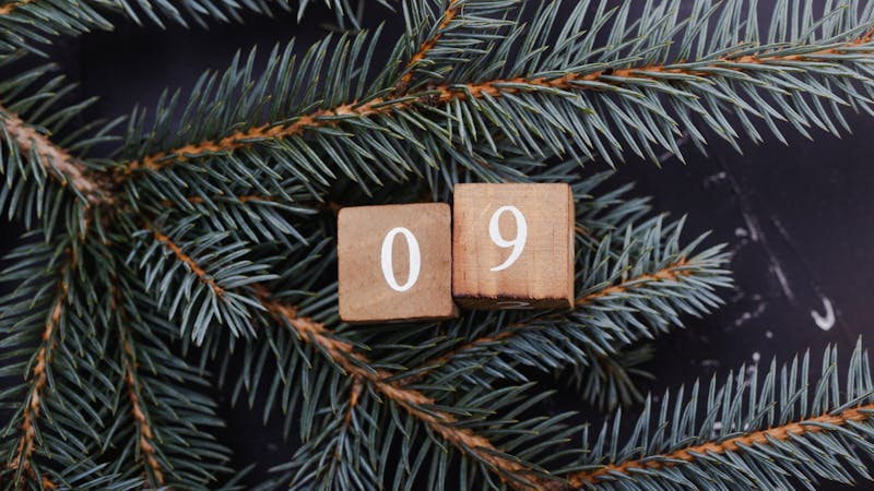 Wooden cubes with number. Blue spruce.