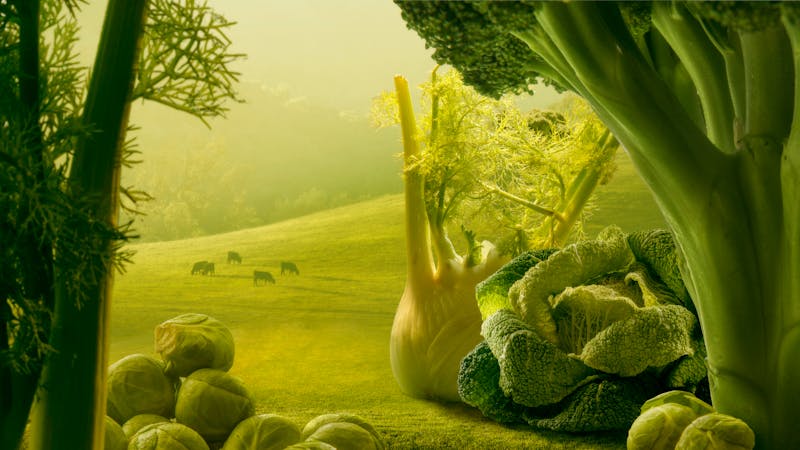 Surreal giant green vegetables in sunset field